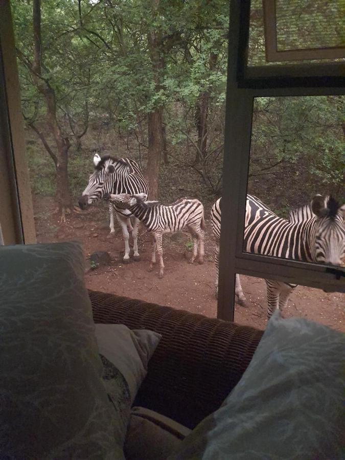 Canyon Guest Villa Hoedspruit Zewnętrze zdjęcie